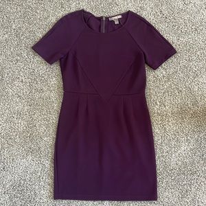 Fitted T-Shirt Dress